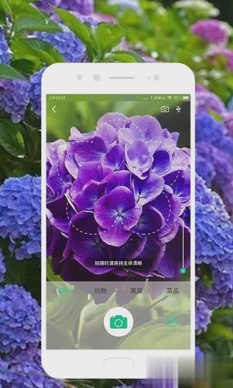 智能识物软件截图